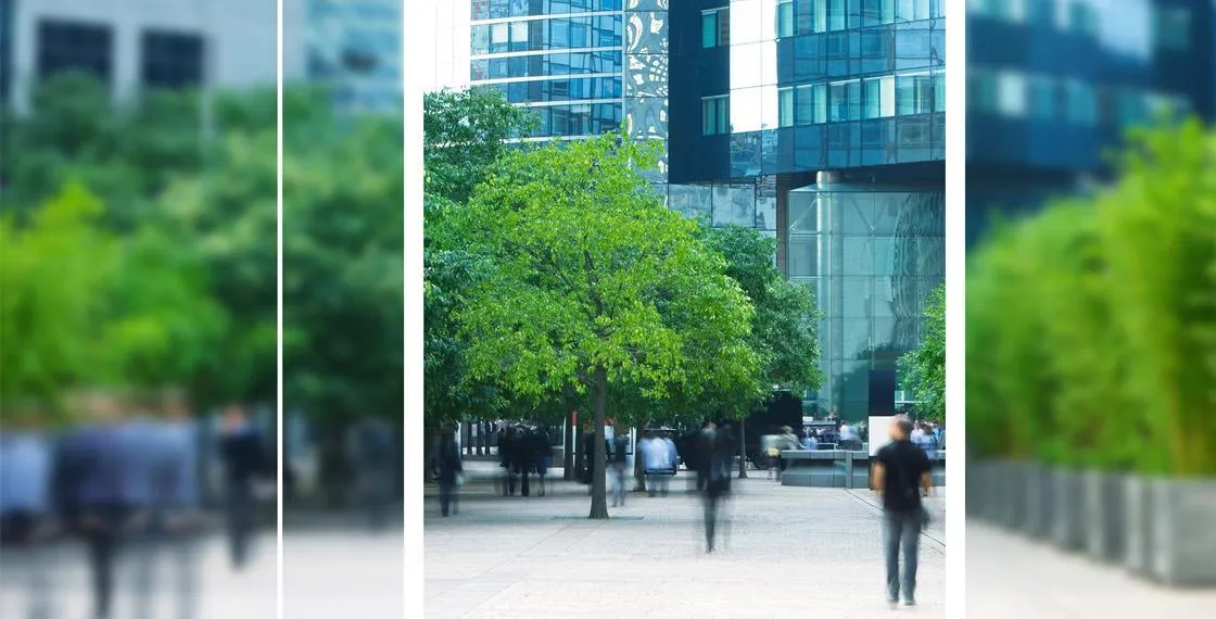 Customer Experience-Fokussierung als Wettbewerbsvorteil bei Finanzdienstleistern