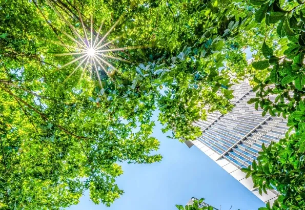 Responsible business