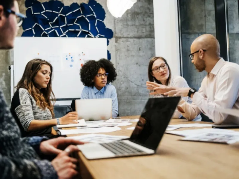 brand management 800