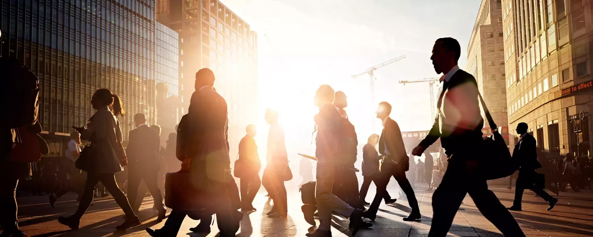 Learning and specialised training