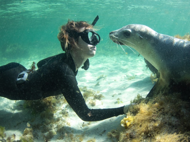 Financial services underwater swimming - 800*600