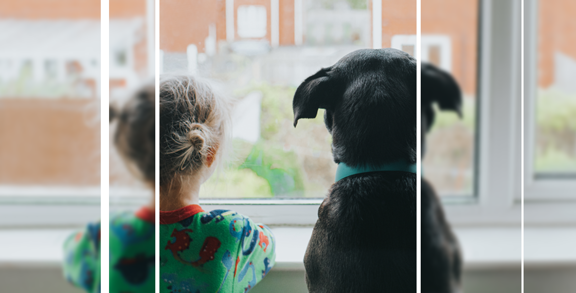 A young girl and dog looking at the window