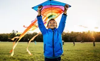 Government - Kid flying Kite - 800x600