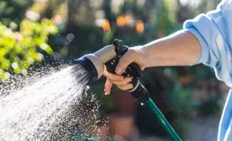 watering plant