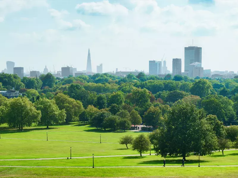 Webinar: how can sustainability-focused innovation create a more inclusive society? Open configuration options Open configuration options Open configuration options Open configuration options London-park-skyline