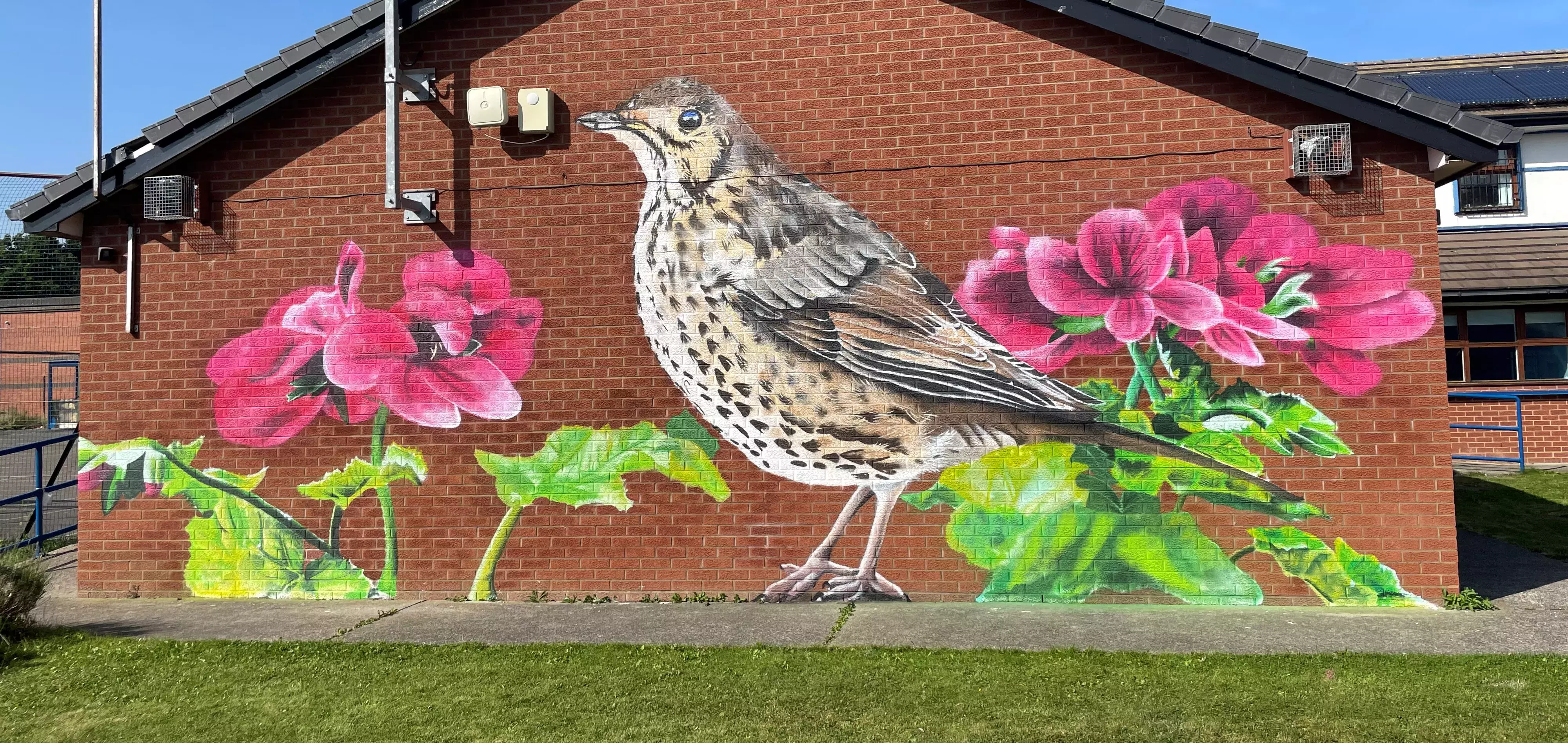 Painting a picture of community progress