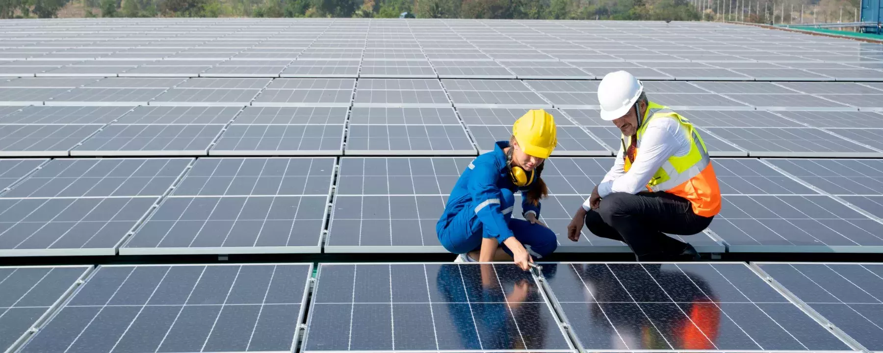 Carbon neutral goals: supporting Lancaster University’s planning application process for a solar farm