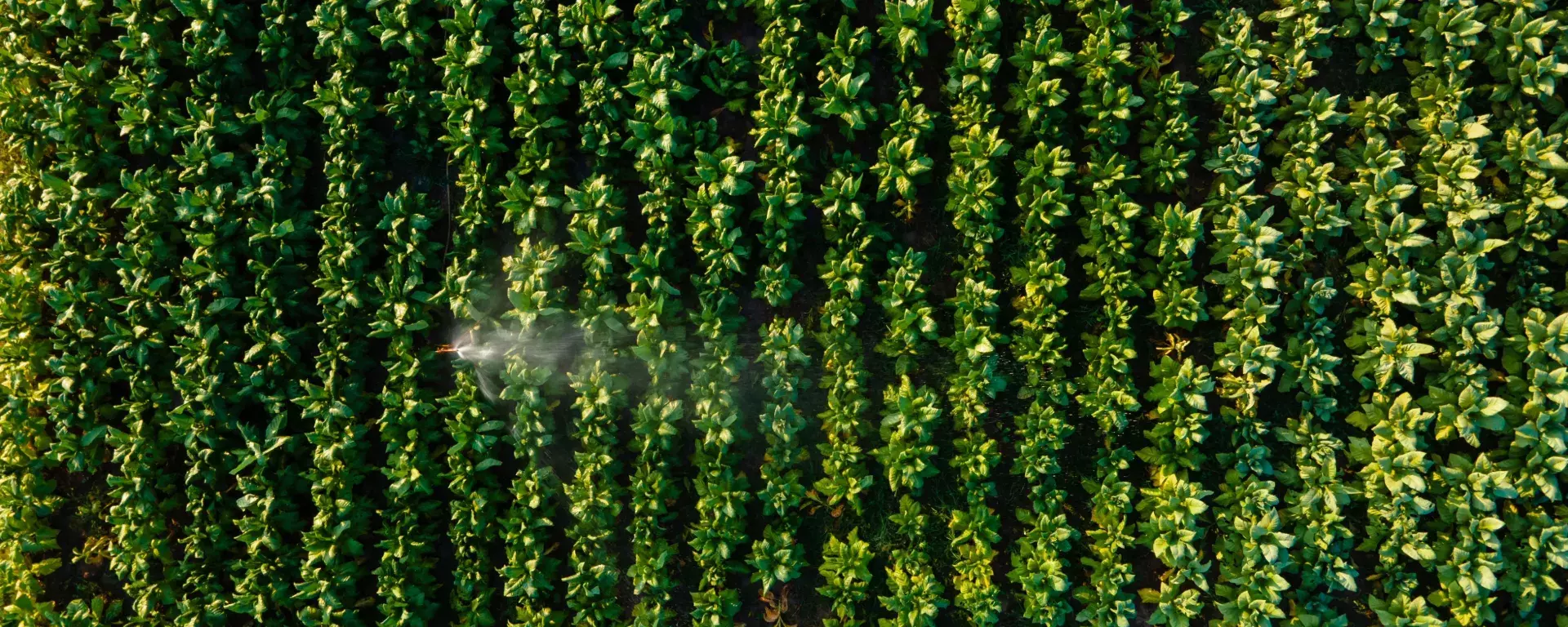 Farm Business Innovation Event